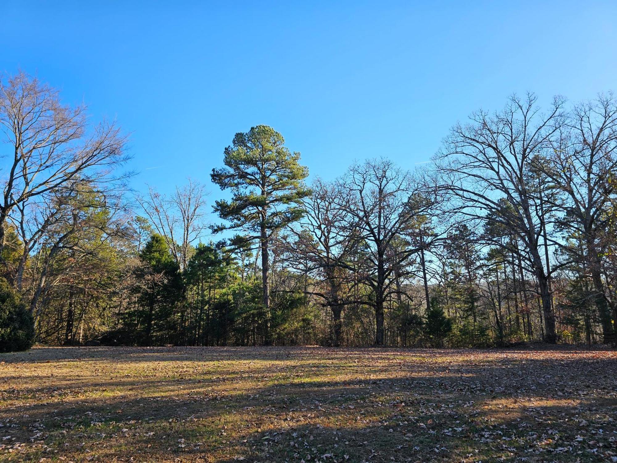 5 Min To Beaver Lake-King Bed-Fire Pit-Jetted Tub #5 Eureka Springs Exterior foto
